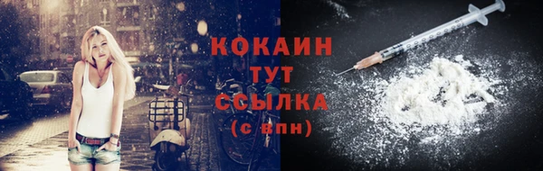 хмурый Рославль