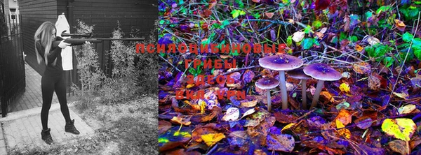 хмурый Рославль