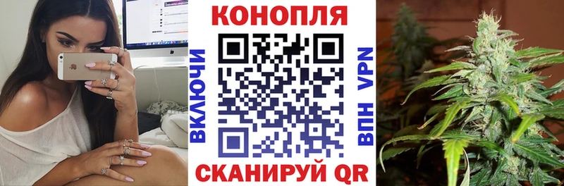 Купить  Керчь  МАРИХУАНА OG Kush